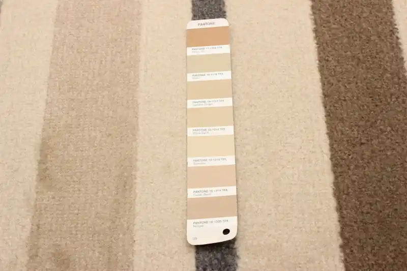 Beige Area Rug - 5'0 x 8'0